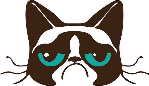 500x290 The Craft Chop