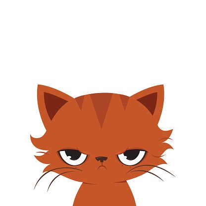 416x416 Angry Cat Cute Grumpy Cat Premium Clipart