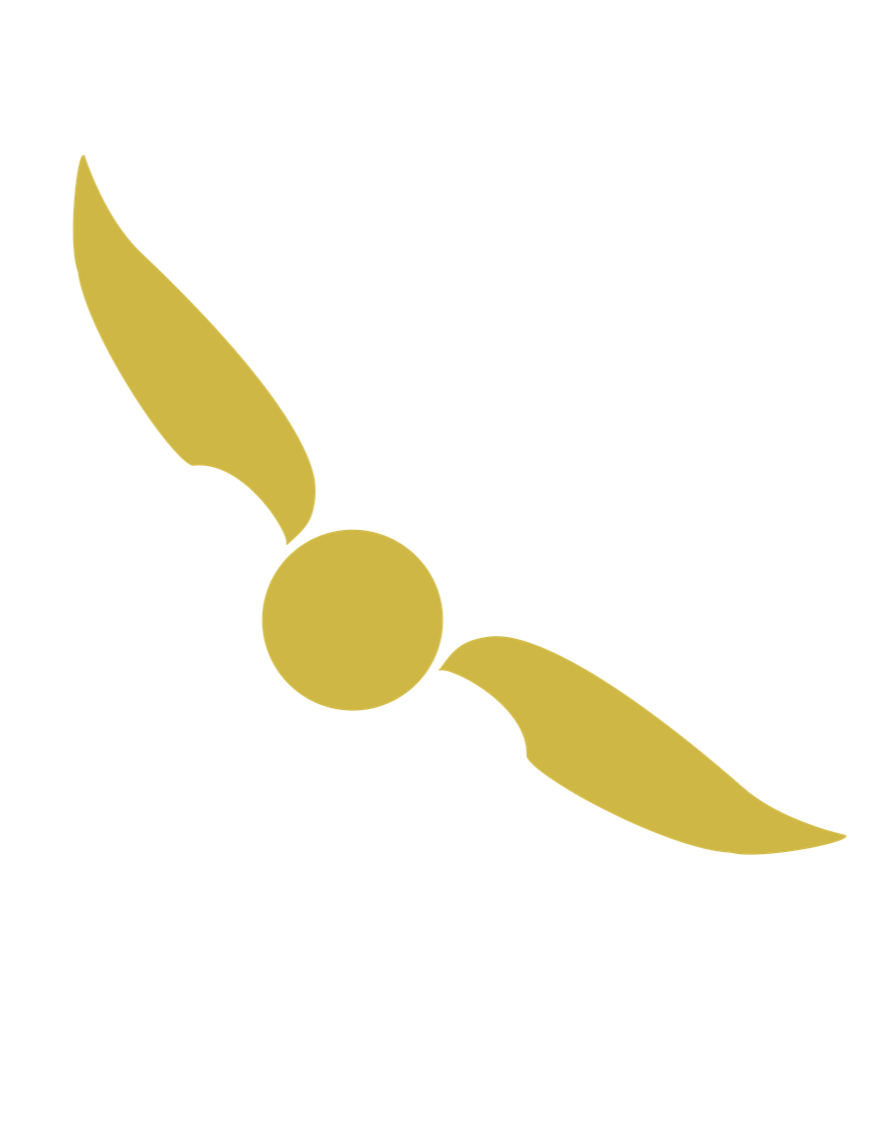 876x1125 Teambristolsecret Page