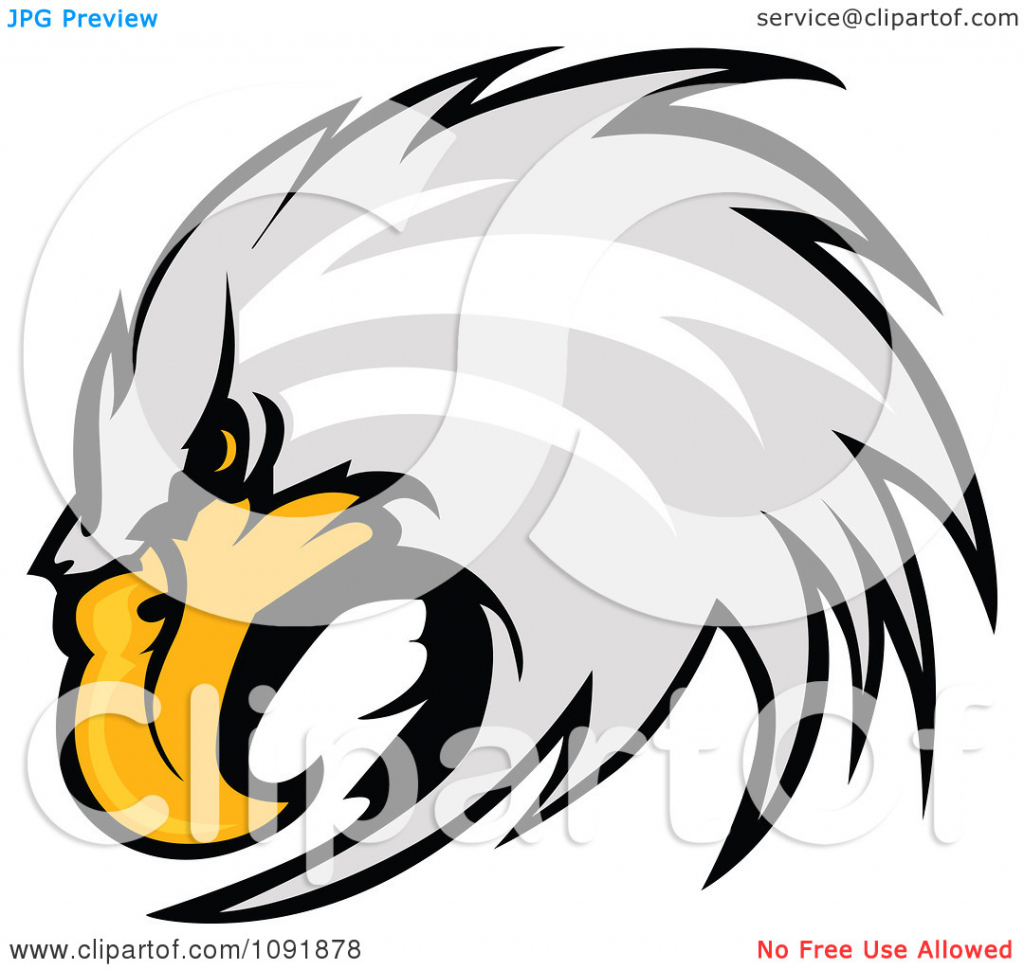 1024x970 How To Draw A Bald Eagle Head Clipart Focused Bald Eagle Head
