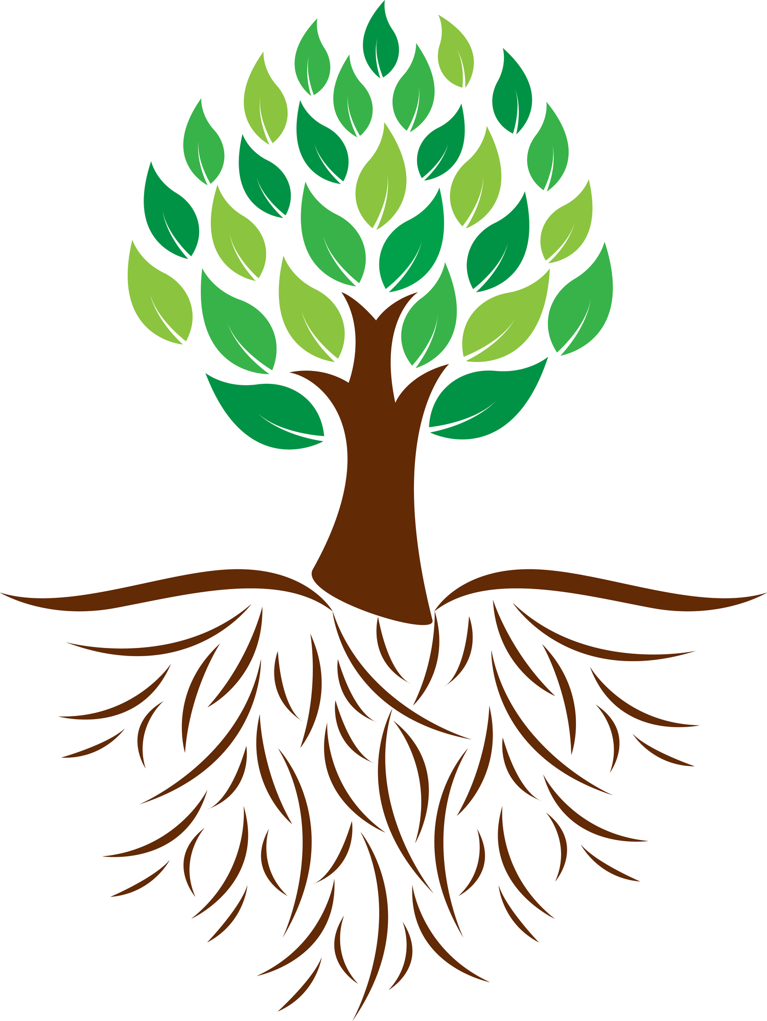 1501x1998 The Roots Of Trees Clipart