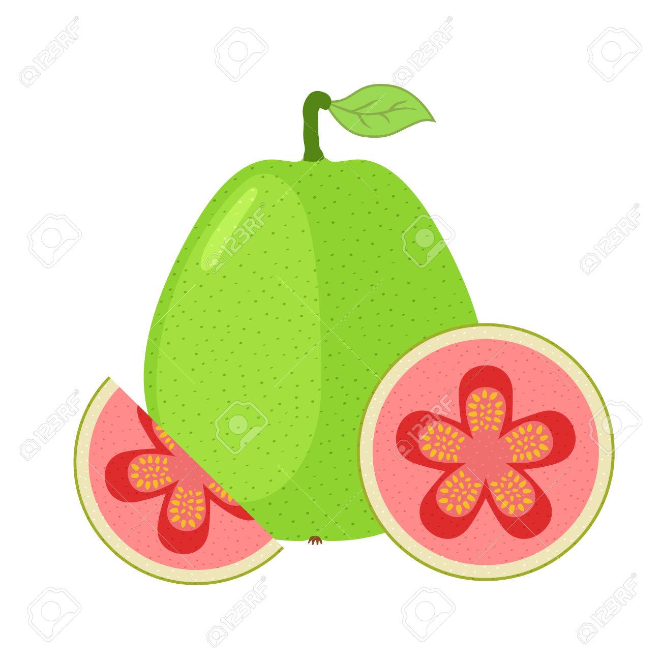 1300x1300 Guava Clipart Green Fruit Vegetable