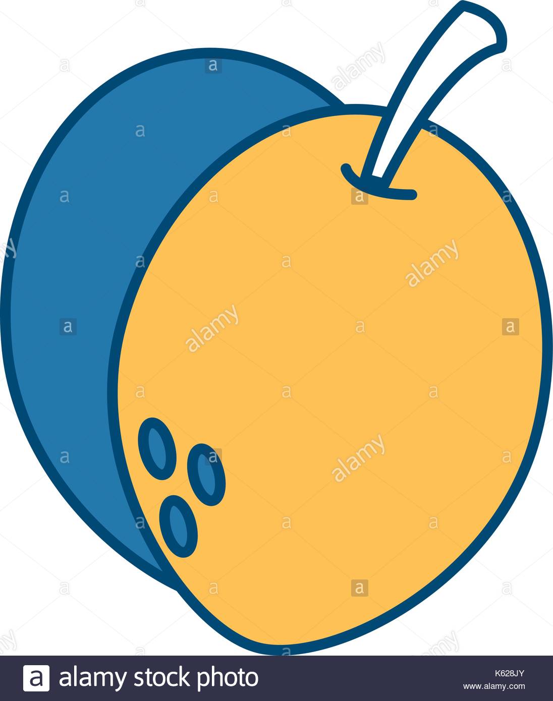 1096x1390 Guava Fruit Stock Vector Images