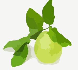 298x270 Guavaxx Clip Art