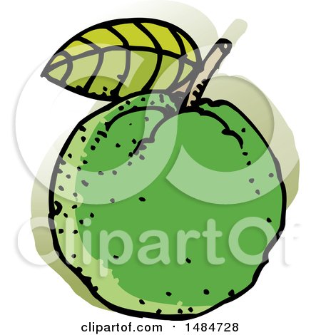 450x470 Royalty Free (Rf) Guava Clipart, Illustrations, Vector Graphics