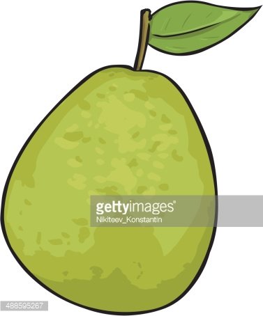 377x454 Vector Cartoon Guava Stock Vectors