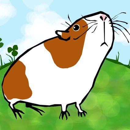 Cute Guinea Pig Drawing at GetDrawings | Free download