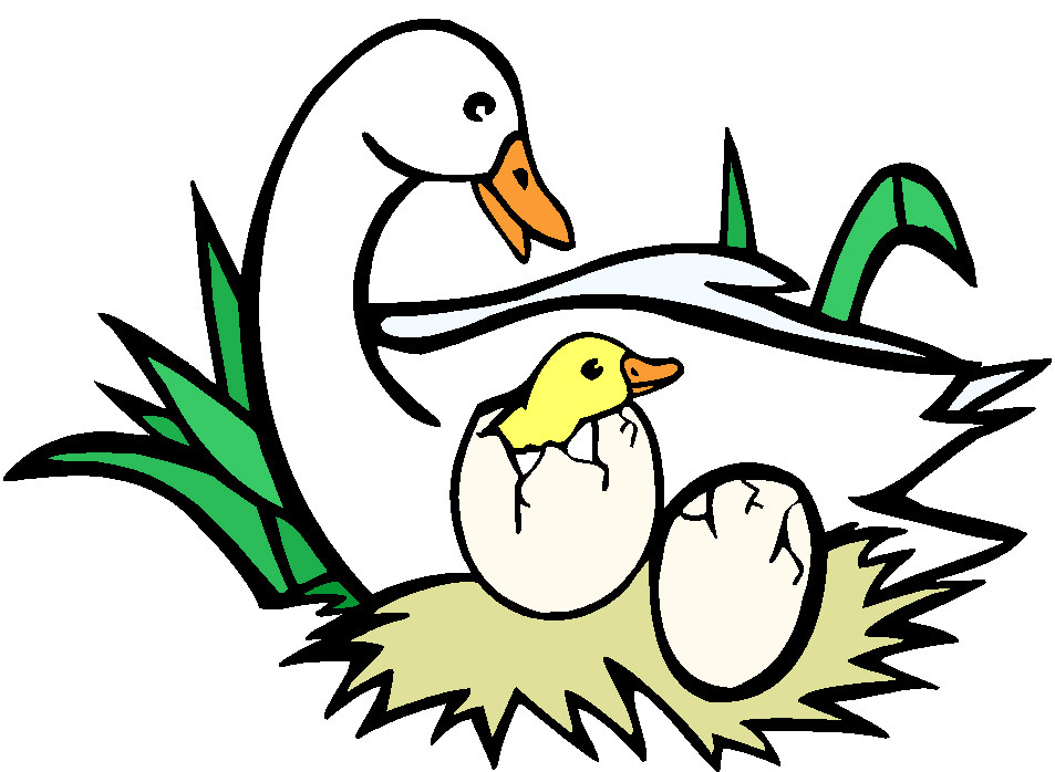 953x698 Guinea Pig Clip Art. Logo Clipart Panda