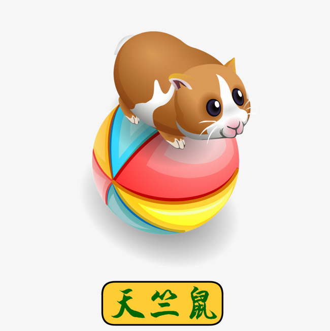 650x651 Hand Painted Guinea Pigs, Hand Painted, Early Childhood Education