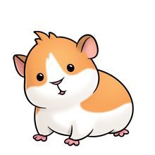 220x220 Guinea Pig Clipart