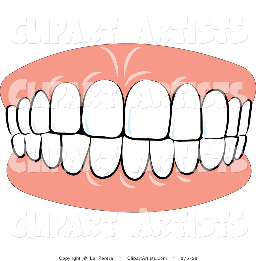 1024x1044 Gums Clipart