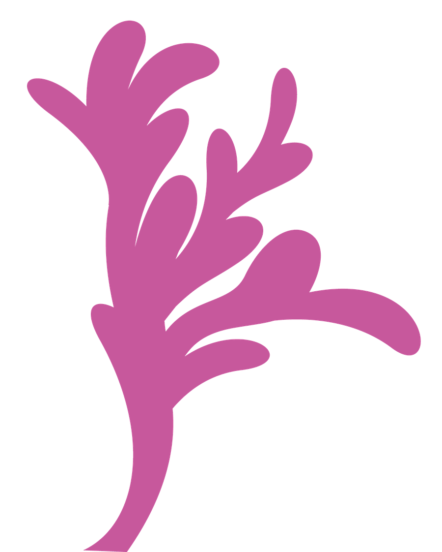 900x1122 Pin By Sindy Plummer On Fonts N Downloads Mermaid