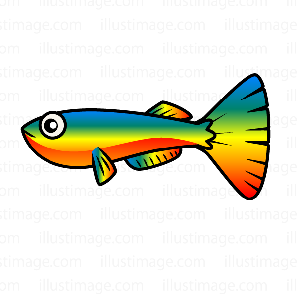 600x600 Fish Free Download Clip Artamp Cripart