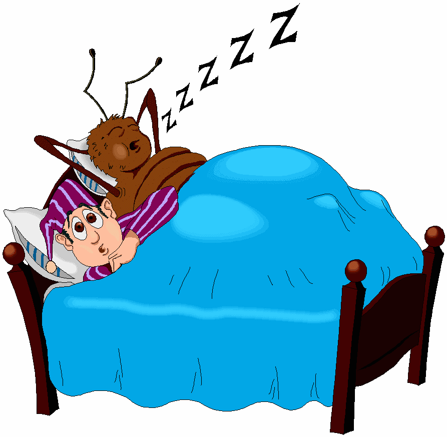 893x873 Hot Girl Typing Gif