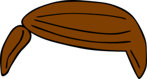 300x162 Plain Brown Hair Clip Art