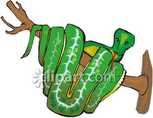 300x230 Boa Constrictor Clip Art Clipart