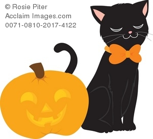 300x274 Black Cat And Halloween Jack O Lantern Pumpkin