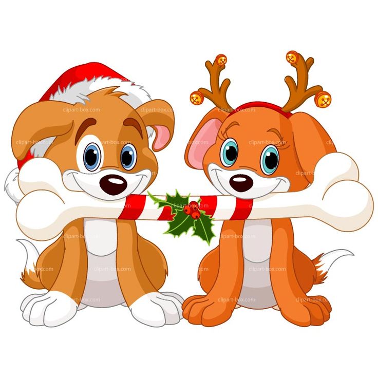736x736 Dog And Cat Clip Art For Christmas Fun For Christmas