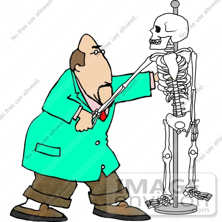 450x450 Skeleton Clipart Chiropractic