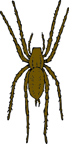 282x589 House Spider Clip Art