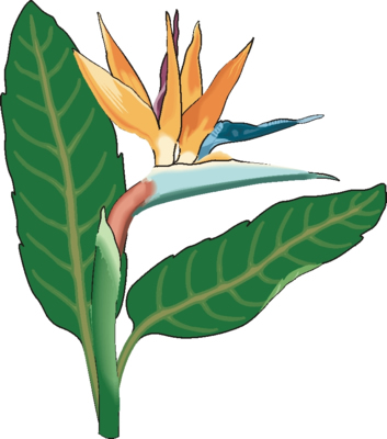 353x400 Flower Clip Art 15 Clipart Panda