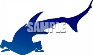 300x177 Hammerhead Shark Art