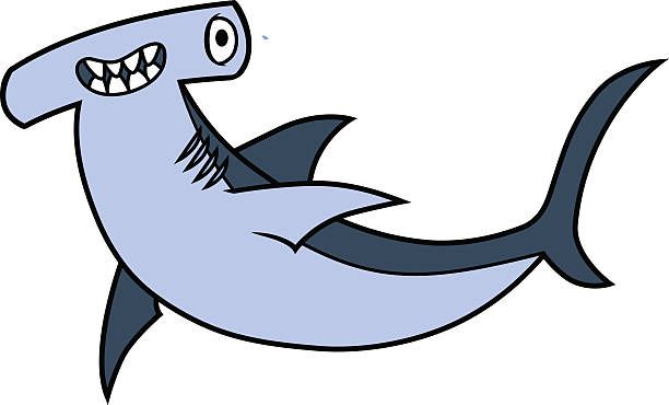 612x370 The Top 5 Best Blogs On Hammerhead Shark Vector Clipart
