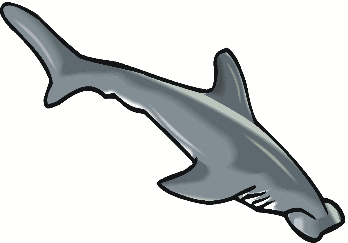 1200x838 Top 90 Shark Clip Art