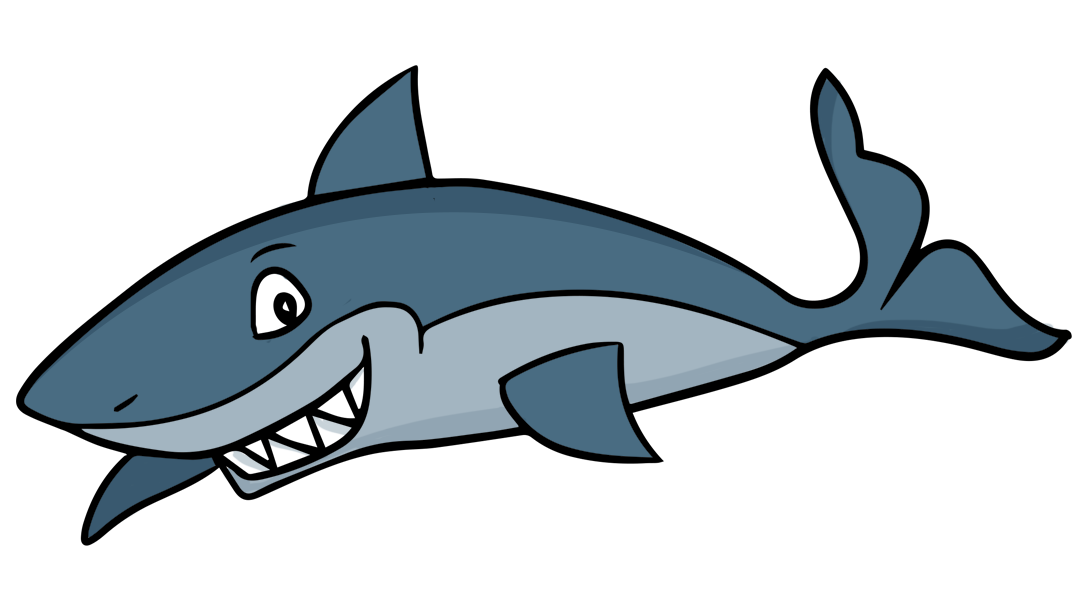 1082x610 You Can Even Look Up Instructions For How To Draw Specific Sharks