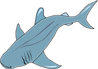 195x138 Free Shark Clipart