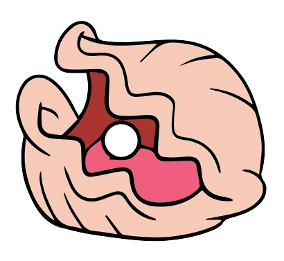 410x377 Oyster Clip Art