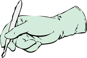 300x201 Gloved Hand With Scalpel Clip Art Free Vector 4vector