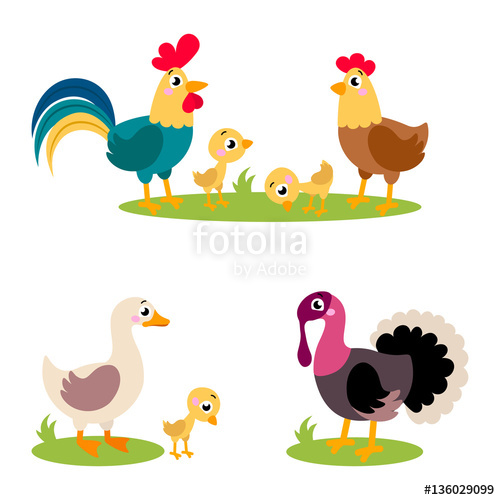 500x500 Set Of Popular Colorful Vector Farm Birds. Cute Farm Birds