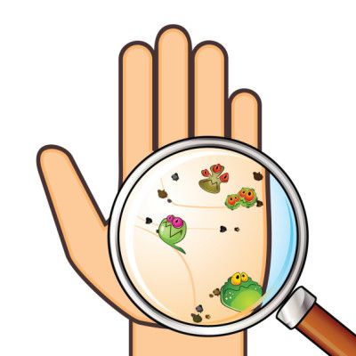 Handwashing Clipart