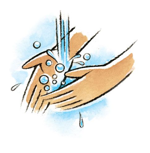 486x495 Hand Washing Clip Art Free Free Nurse Graphics Gif Clip Art