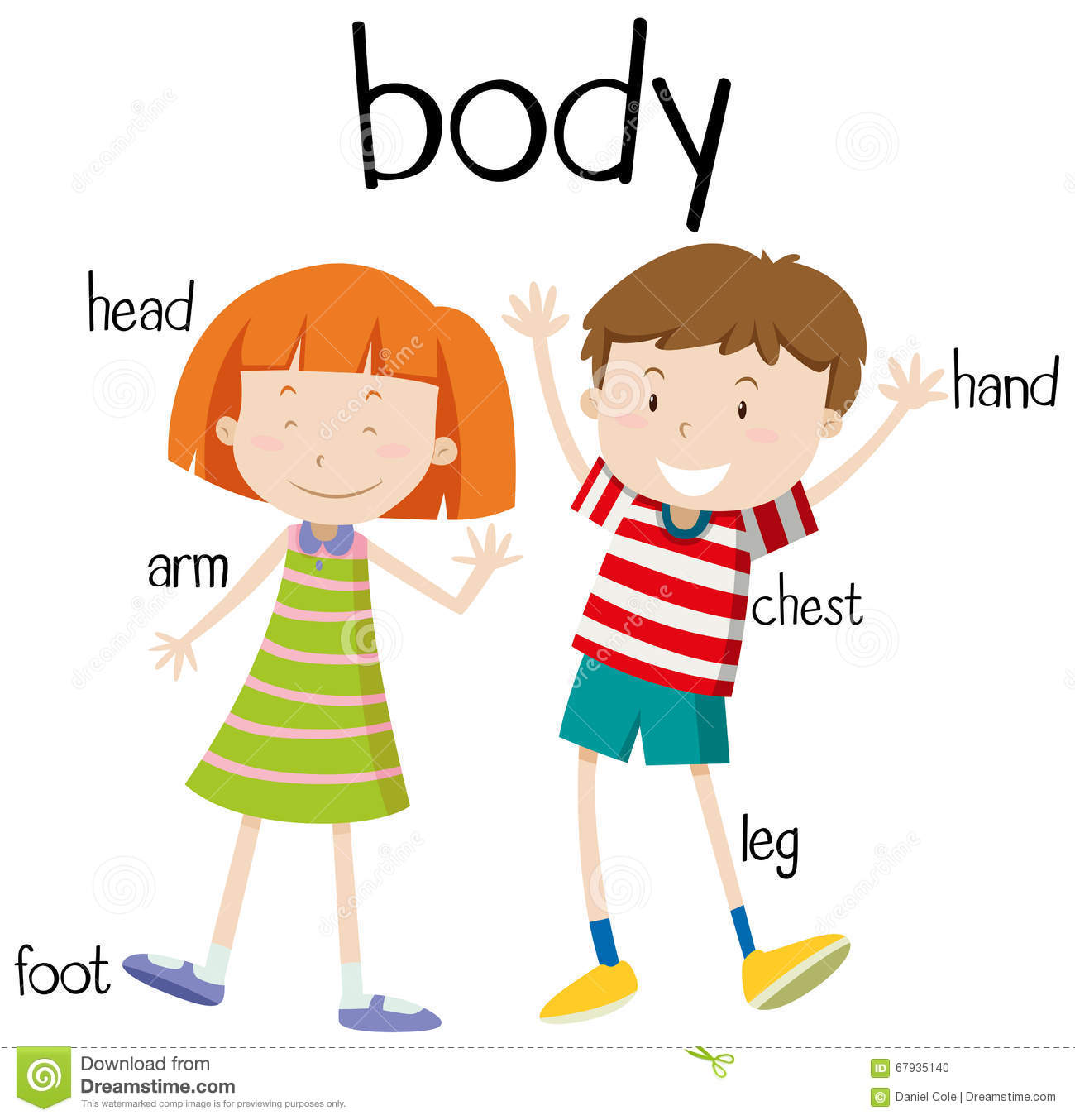 1300x1354 Body Image Clipart