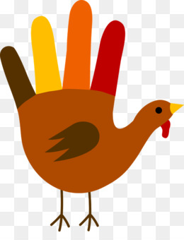 260x340 Bird Turkey Drawing Clip Art