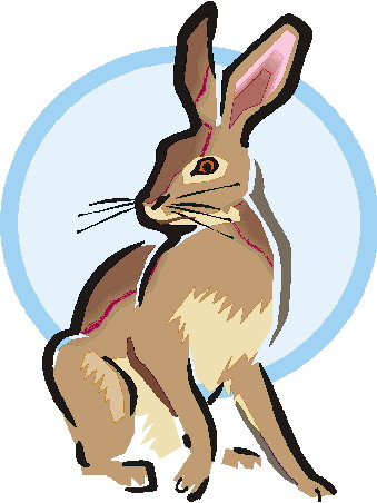 339x452 Rabbits Clip Art Farm