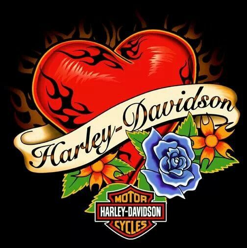 504x507 Harley Davidson Clipart 95th Anniversary
