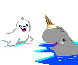 300x250 Drawn Seal Narwhal