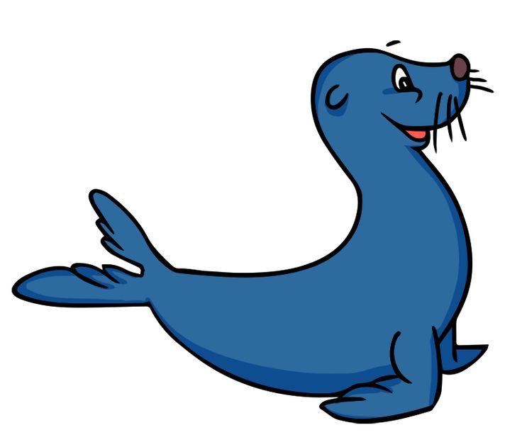 736x624 Harp Seal Clipart Animated