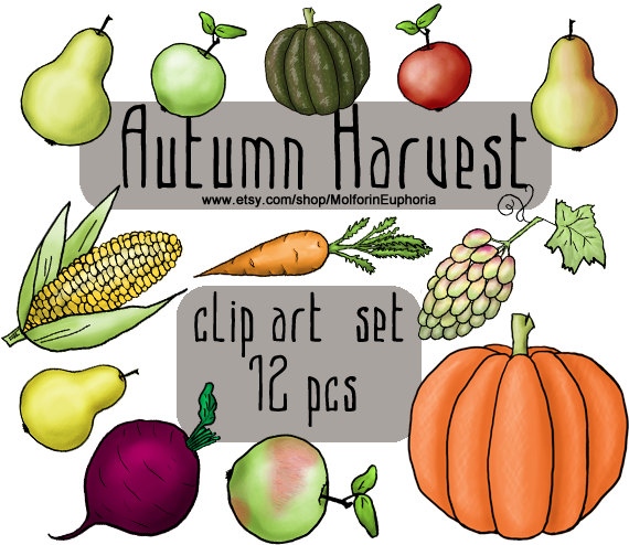 570x494 Fall Harvest Clipart Free Download Clip Art