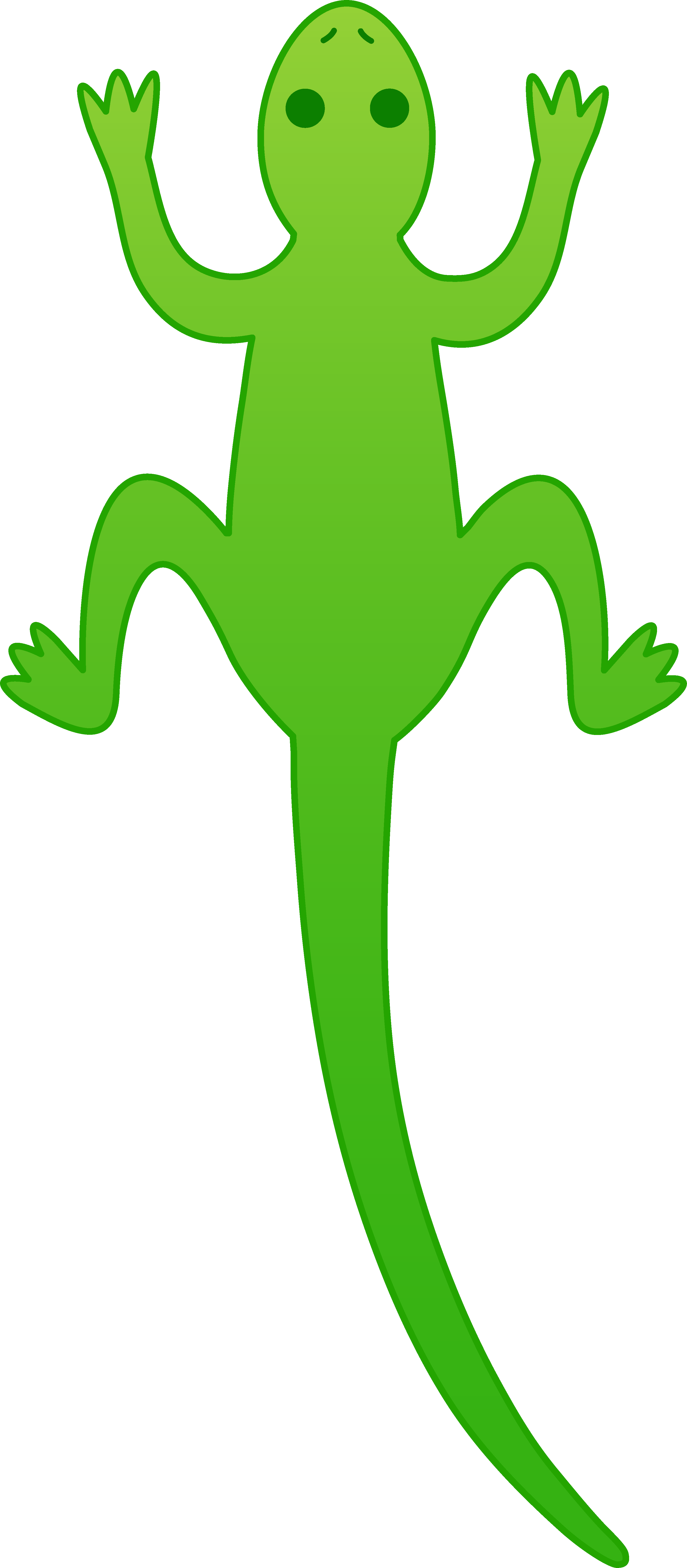 3026x6908 Lizard Clear Background Clipart Collection
