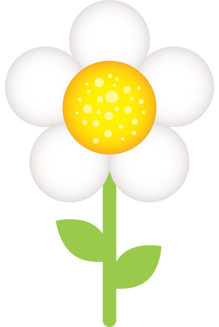 736x1100 Hawaiian Flower Clip Art Borders Clipart Panda Free Incredible