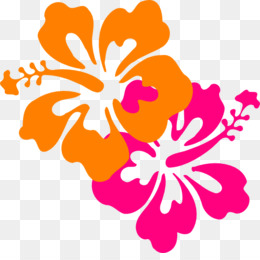 260x260 Hawaiian Flower Clip Art