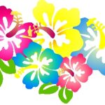 150x150 Free Hawaiian Flower Clipart Hibiscus Clip Art At Clker Vector