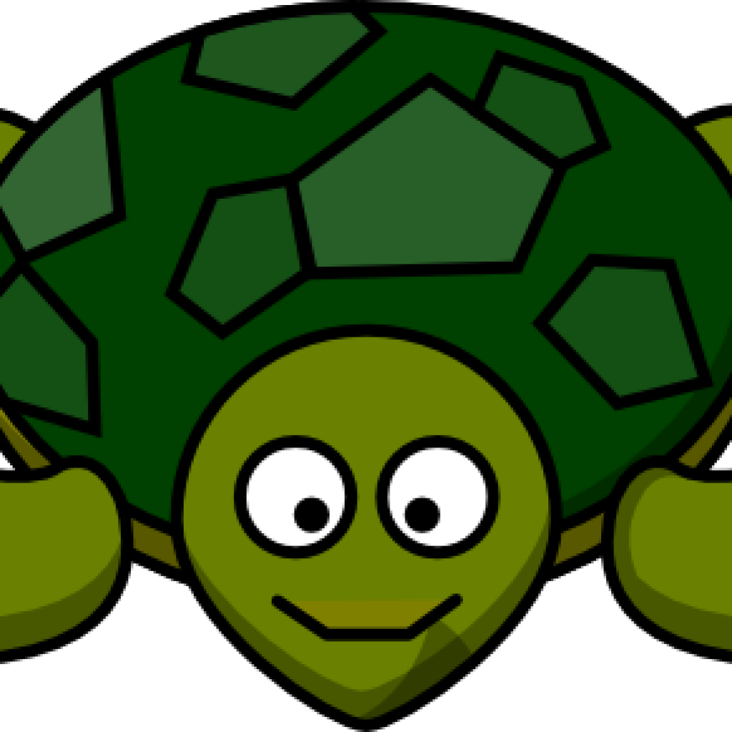 Hawaiian Turtle Clipart at GetDrawings | Free download