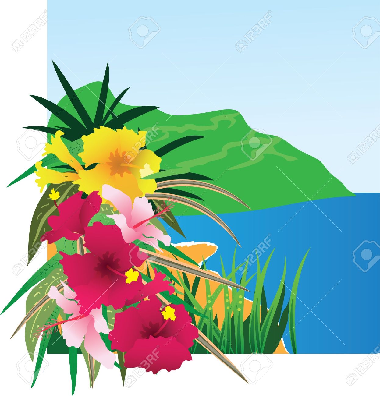 1247x1300 Sea Clipart Hawaii Background