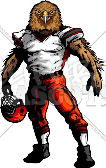 Hawk Clipart