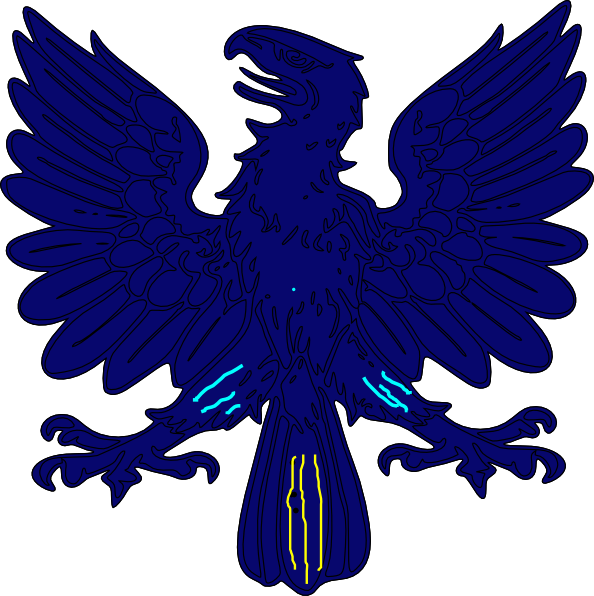 594x596 Marked Hawk Clip Art